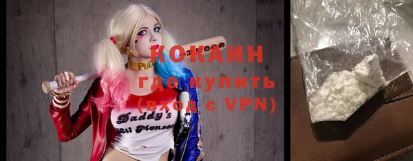 ГАЛЛЮЦИНОГЕННЫЕ ГРИБЫ Ельня