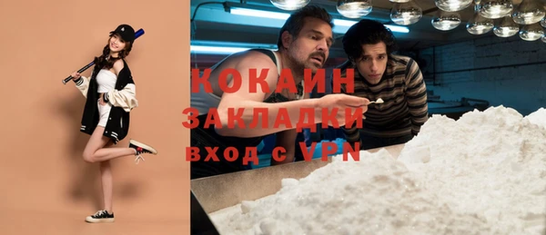 твердый Елизово