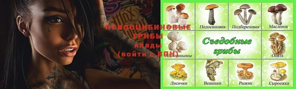 твердый Елизово