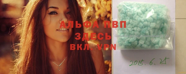 ГАЛЛЮЦИНОГЕННЫЕ ГРИБЫ Ельня