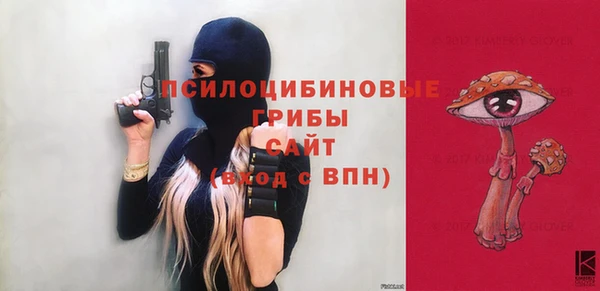 ГАЛЛЮЦИНОГЕННЫЕ ГРИБЫ Ельня