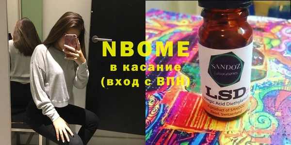 ГАЛЛЮЦИНОГЕННЫЕ ГРИБЫ Ельня