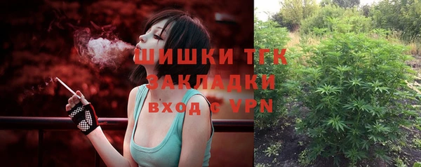 ГАЛЛЮЦИНОГЕННЫЕ ГРИБЫ Ельня