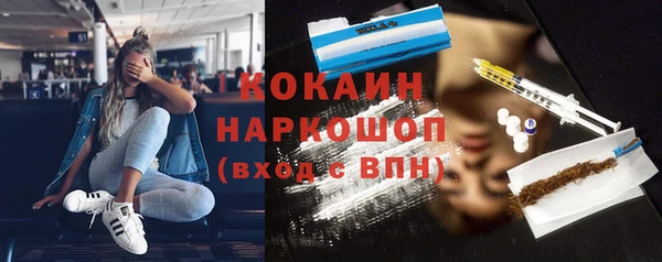 ГАЛЛЮЦИНОГЕННЫЕ ГРИБЫ Ельня