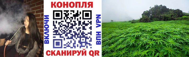 Купить  Называевск  Марихуана Amnesia 
